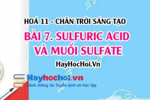 Tính chất vật lí, tính chất hoá học của Sulfuric acid H2SO4, ứng dụng của muối Sulfate? Hoá 11 chân trời bài 7